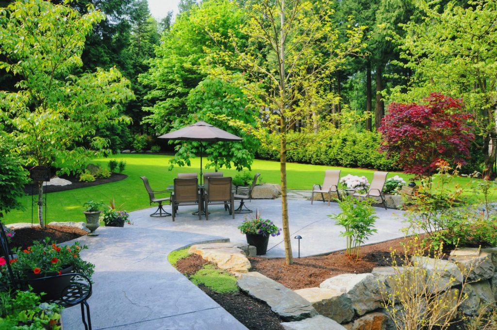 Image of an outdoor space with plants and outdoor furniture