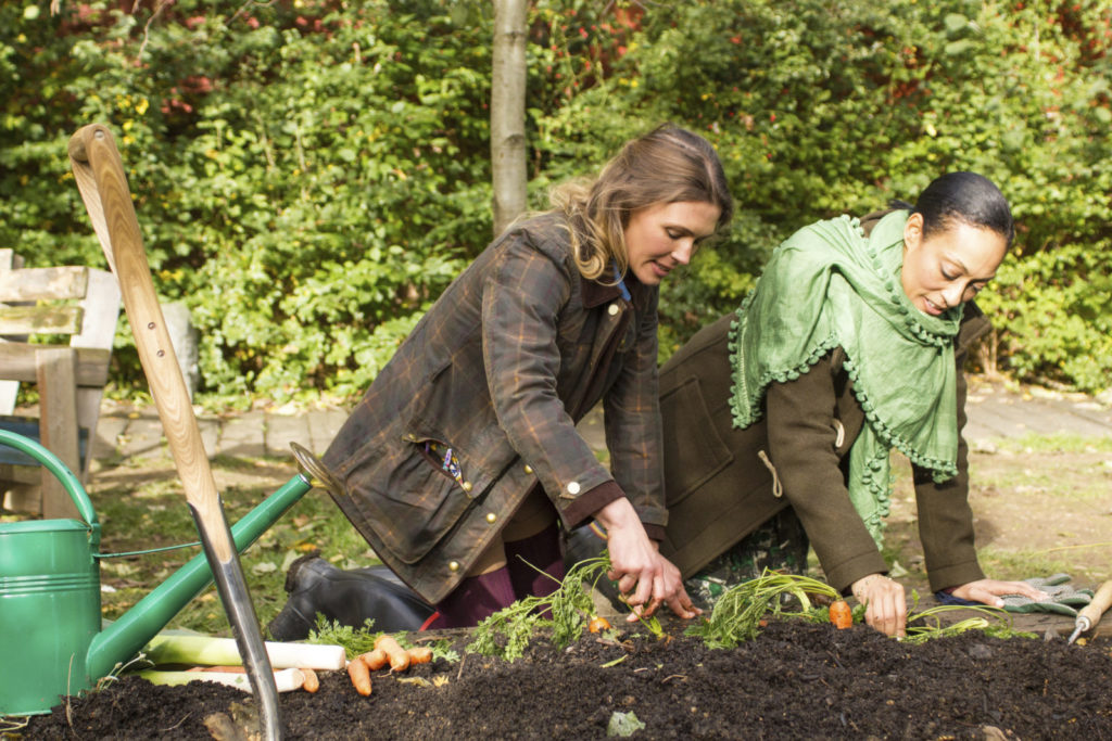 Image of people gardening