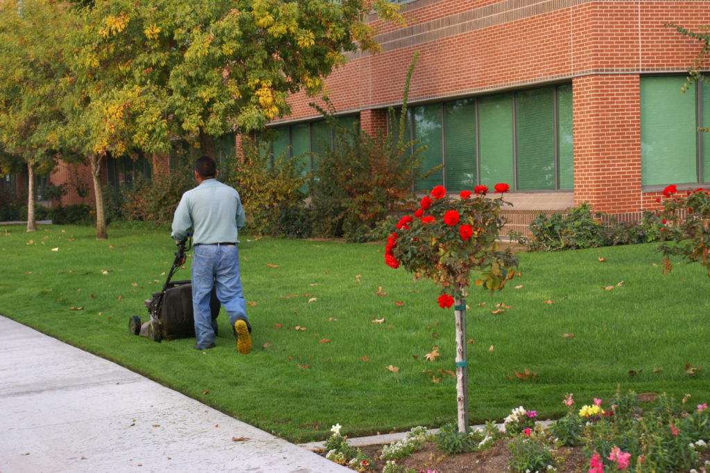 Image of a man mowing grass