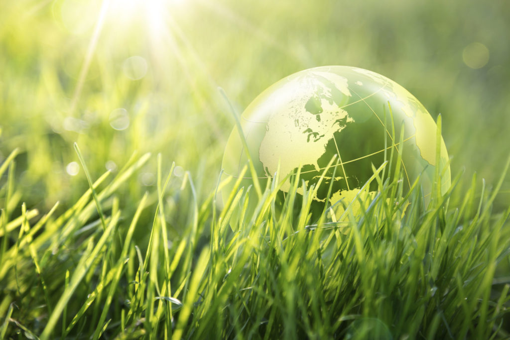 Graphic image of a globe in grass