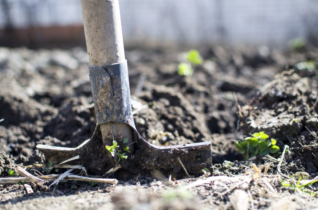 Close image of a shovel being used to garden