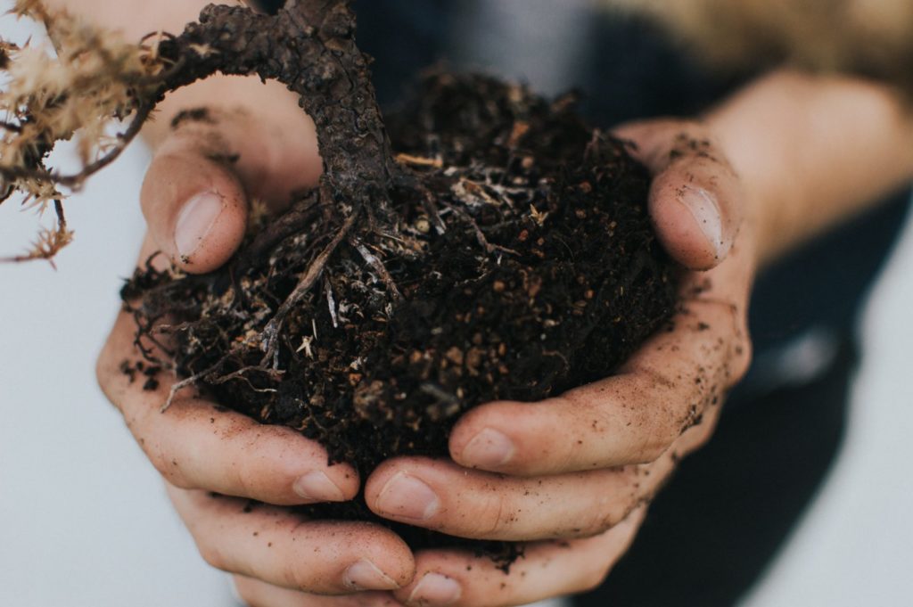 Image of a person holding soil between their hands