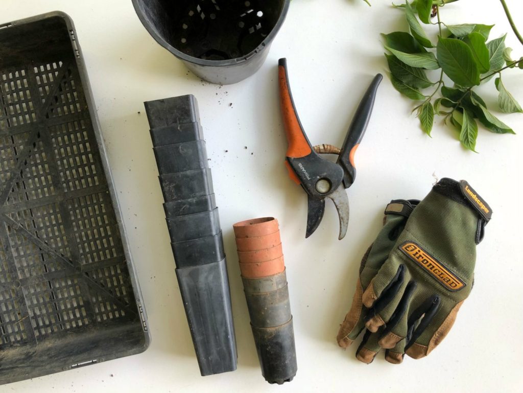 Image of gardening tools