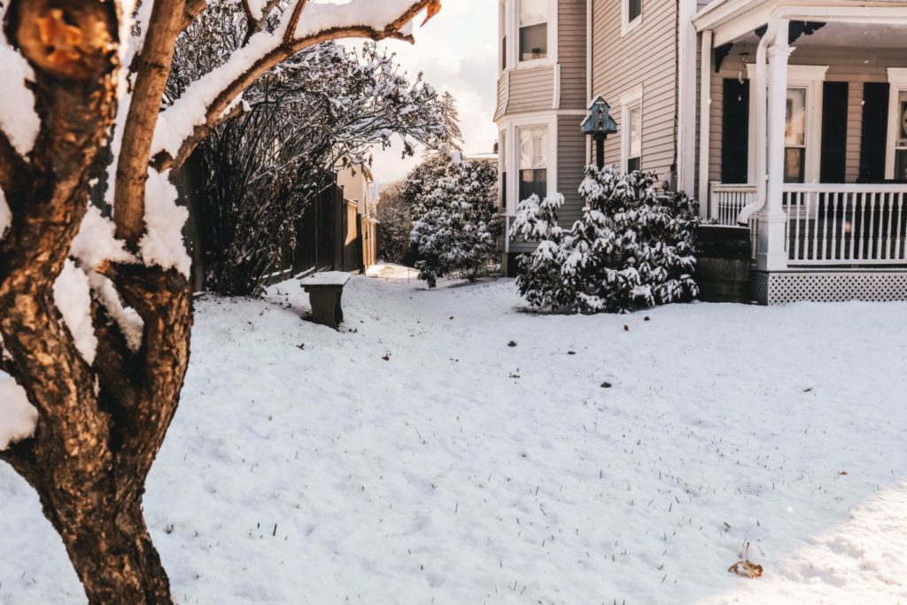 Image of a yard during winter