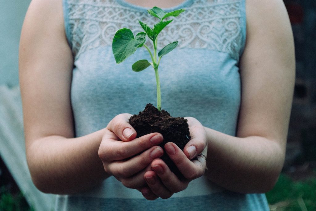 Image of a woman holding a plant