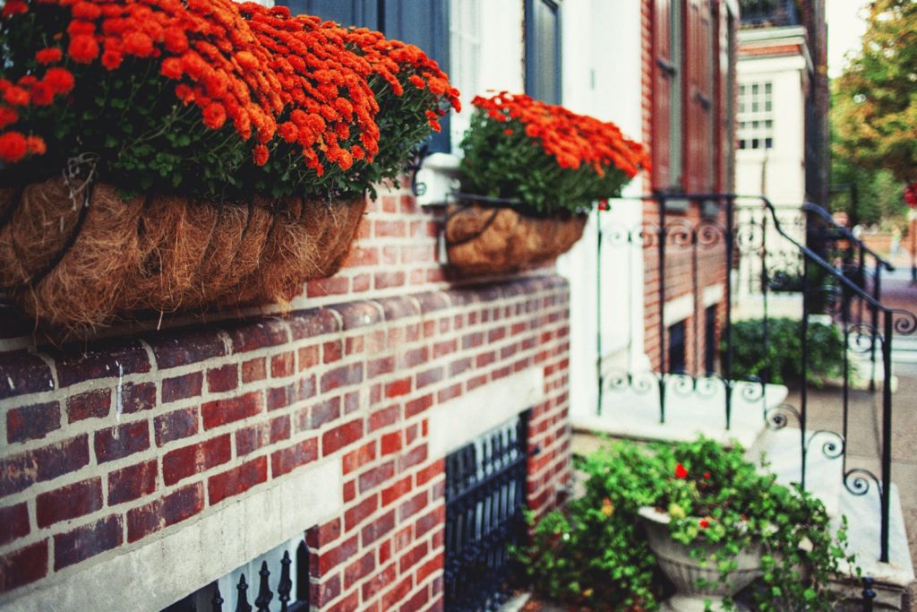 Image of flowers in planters on the front of a home